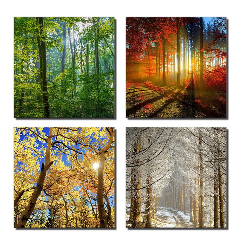 Amazon.com: Spring Summer Autumn Winter Four Seasons Pictures Trees ...
