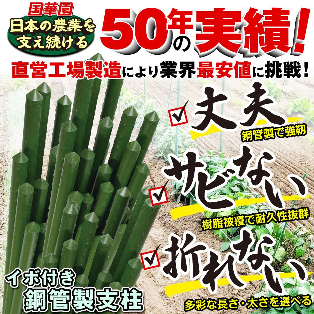 Amazon | 支柱 園芸 150cm 直径11mm 50本1組 イボ付 鋼管製