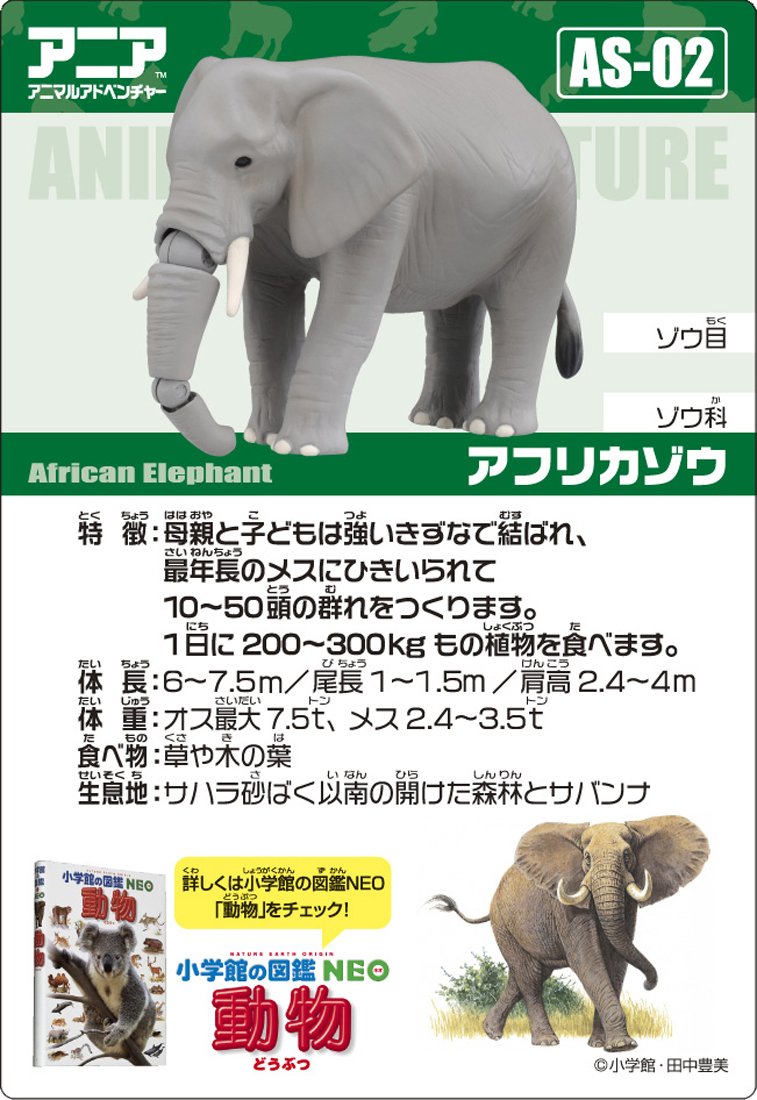 ゾウのあし アキレス・ソルボ C 587 ネービー｜甲と足首が調整できる牛革
