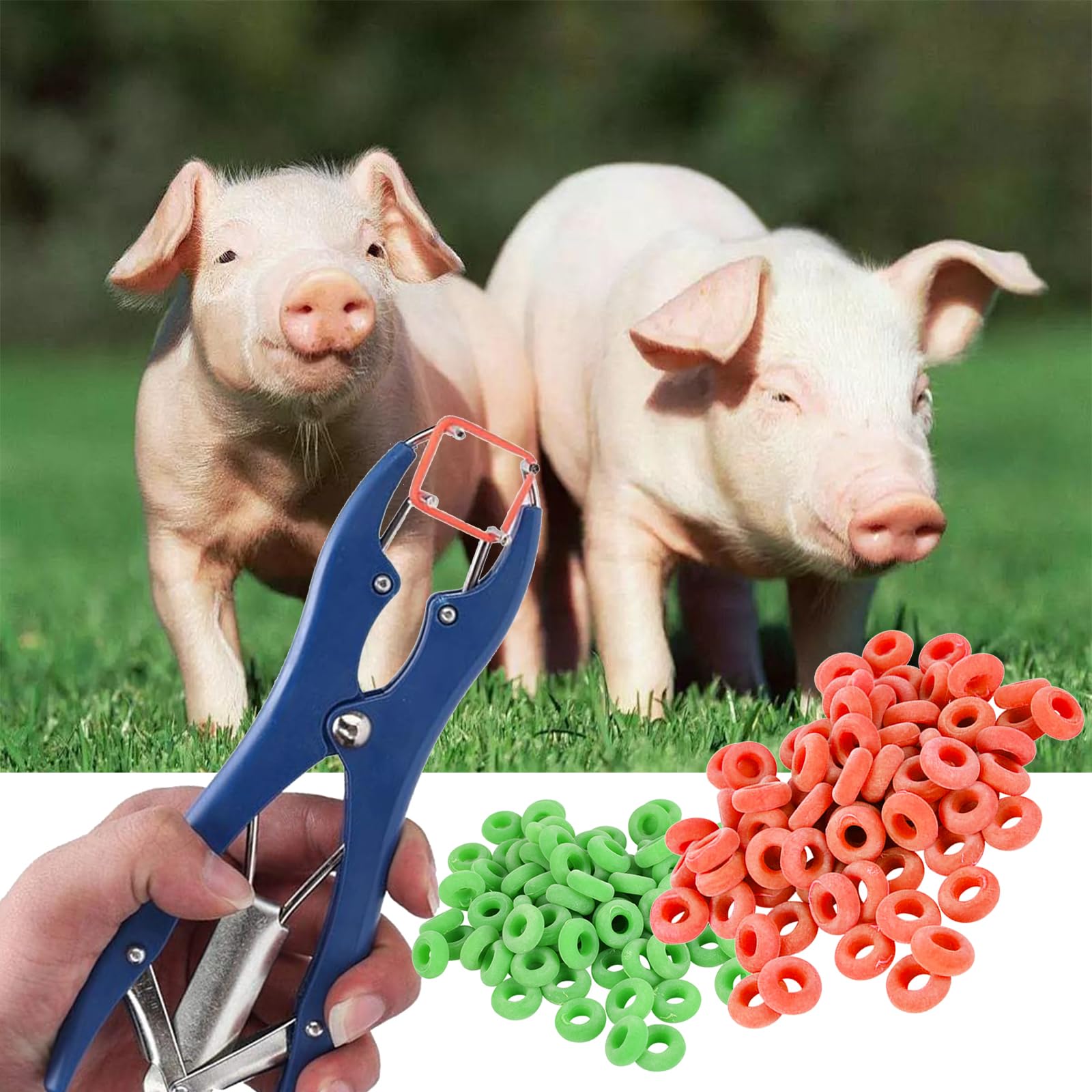 Pinza per Castrazione con 100 Anelli di Gomma, per Ovini, Bovini, Pecore e Maiali