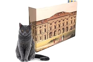 Privé Kitty Litter Screen - Palace Design: Litter Box Privacy and Style