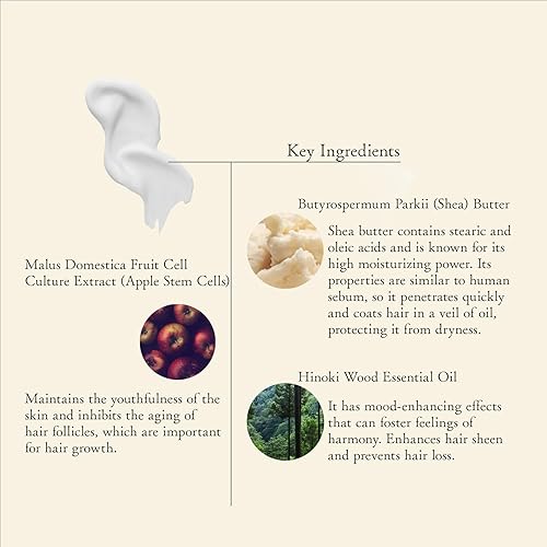 Miniatura 8 de ametsuchi Set de champú y acondicionador para el cabello seco