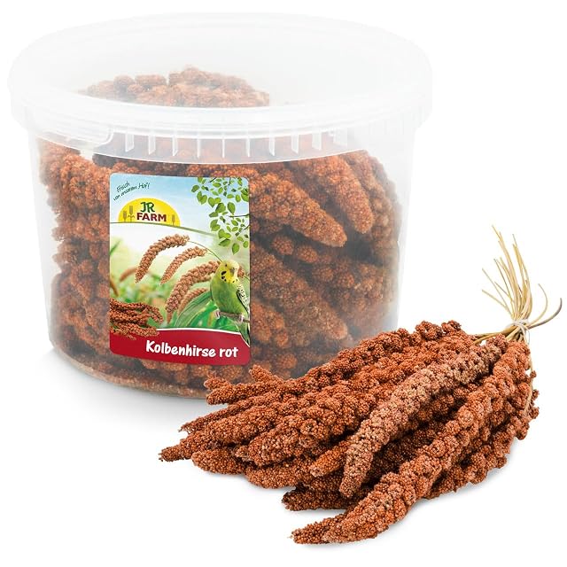 JR Farm Birds mijo de mazorca Rojo en Cubo 500 g