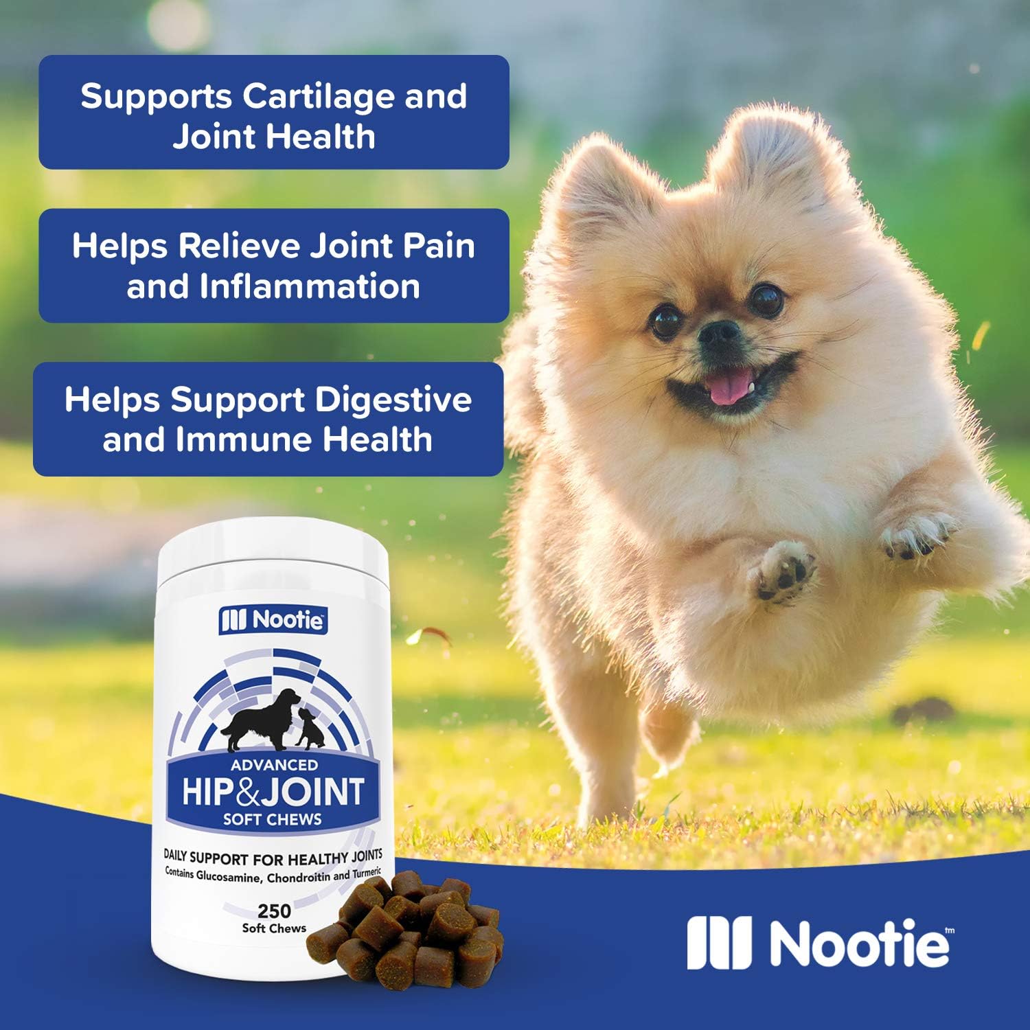 Nootie Glucosamine for Dogs Hip and Joint Soft Chews Supplement for