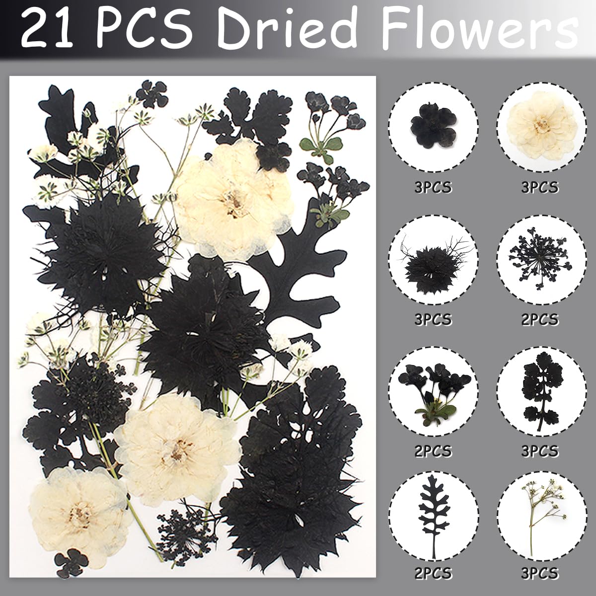Cinvo 63 Pcs Real Dried Pressed Flowers and Leaves Black White Natural Dried Petals with Tweezer for Candle Resin Jewelry Soap Nail Pendant Phone Case Crafts Making Floral Decors DIY Embellishments - Image 3