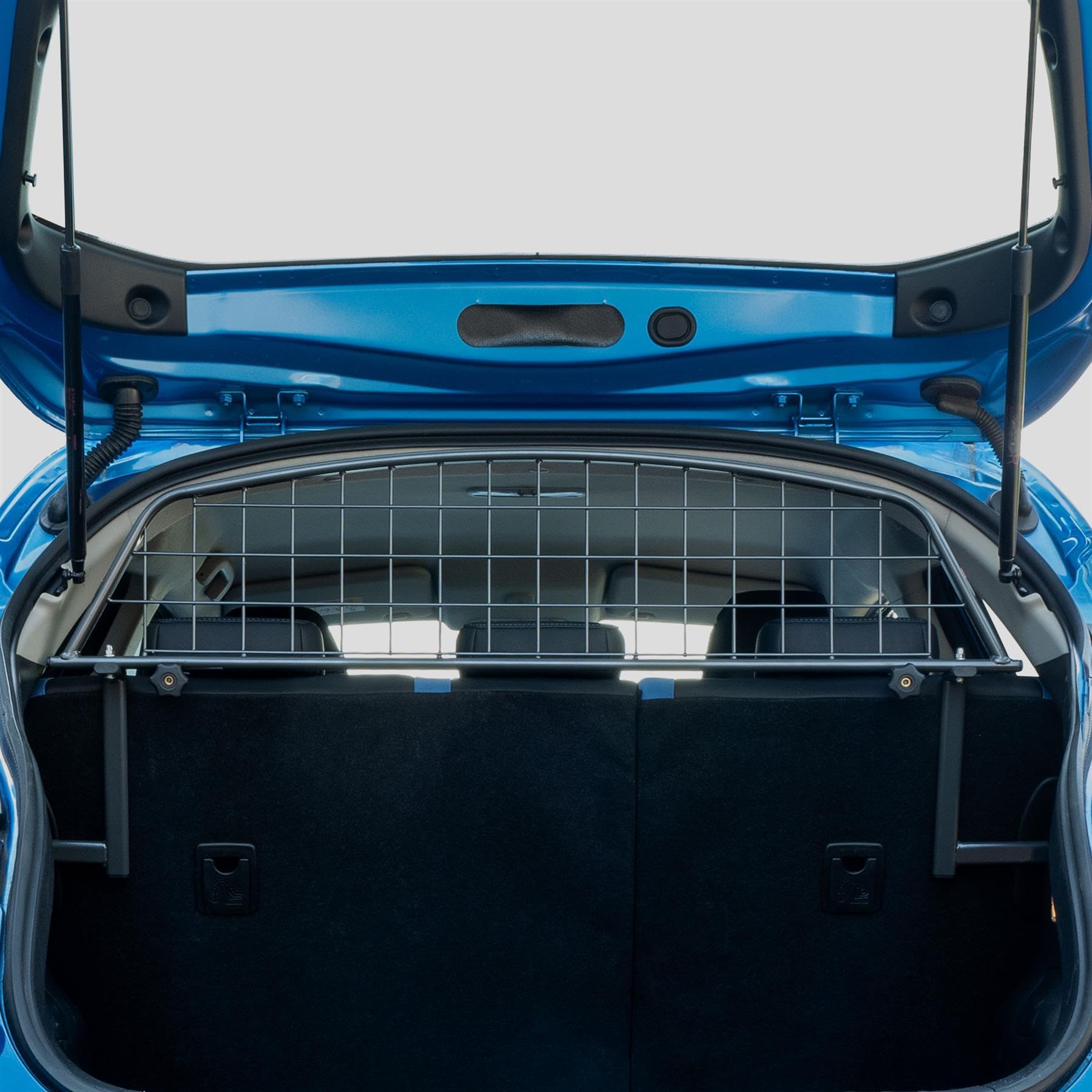 Travall Guard Griglia di Protezione Compatibili con Nissan Juke (2010-2019) Juke Nismo (2013-2019) TDG1533 – Griglia Divisoria Specifica in Acciaio Dolce