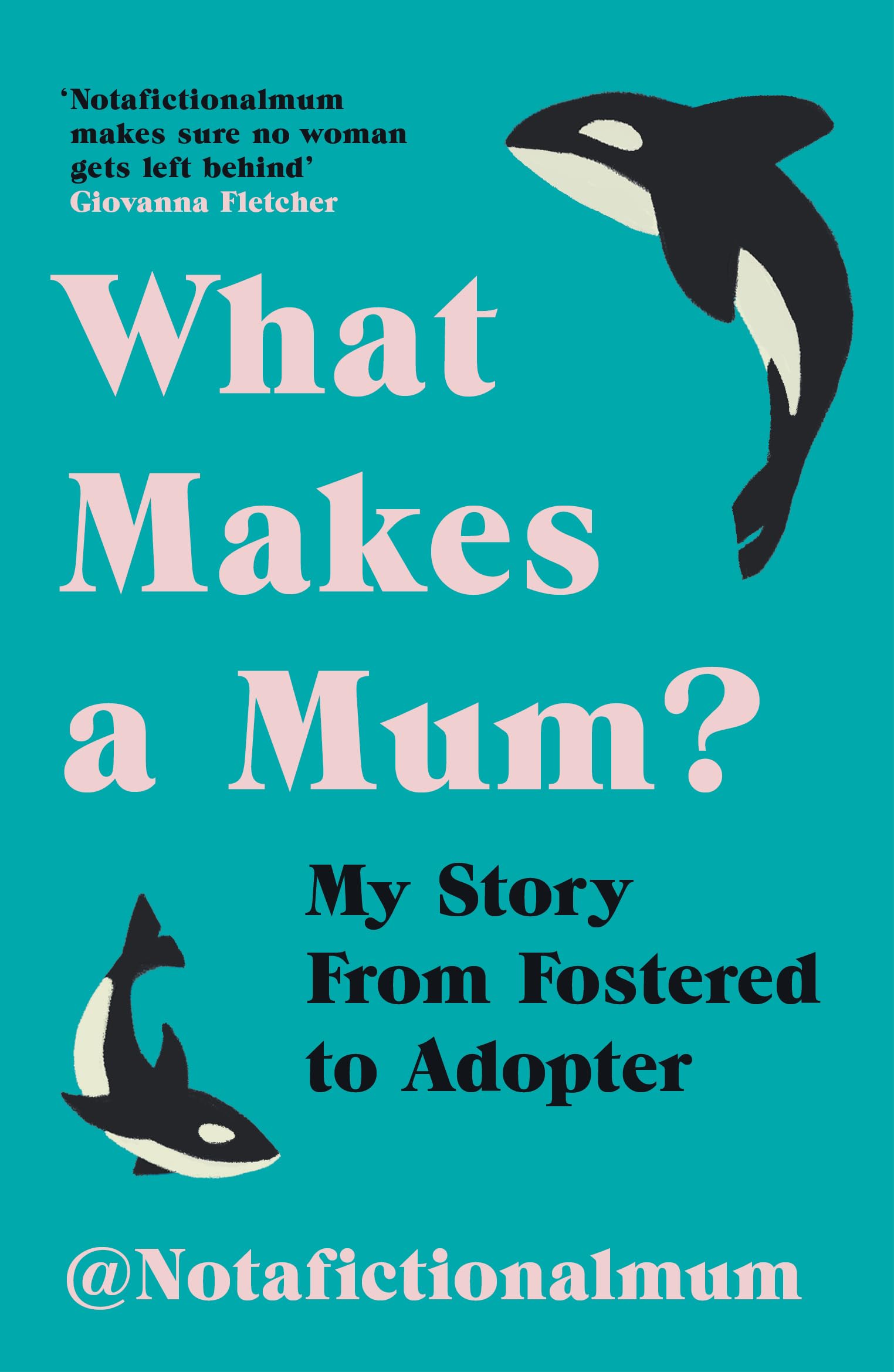 What Makes a Mum?: My Story From Fostered to Adopter