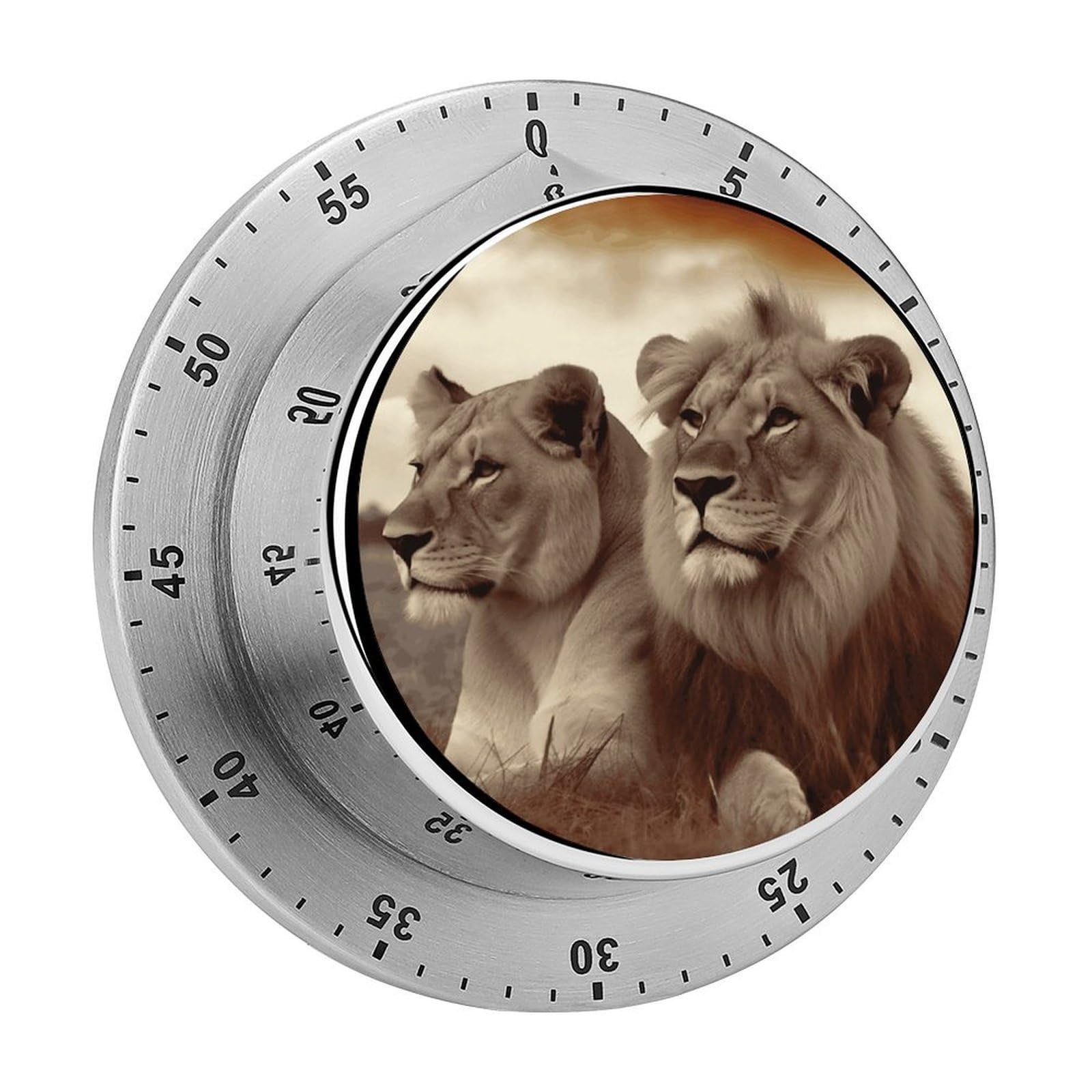African Lion and Lioness Visual Timer Cute Desk Timers No Batteries Required Magnetic Indoor Countdown Timers Loud Alarm Exquisite Manual Time Timer Clock for Gift