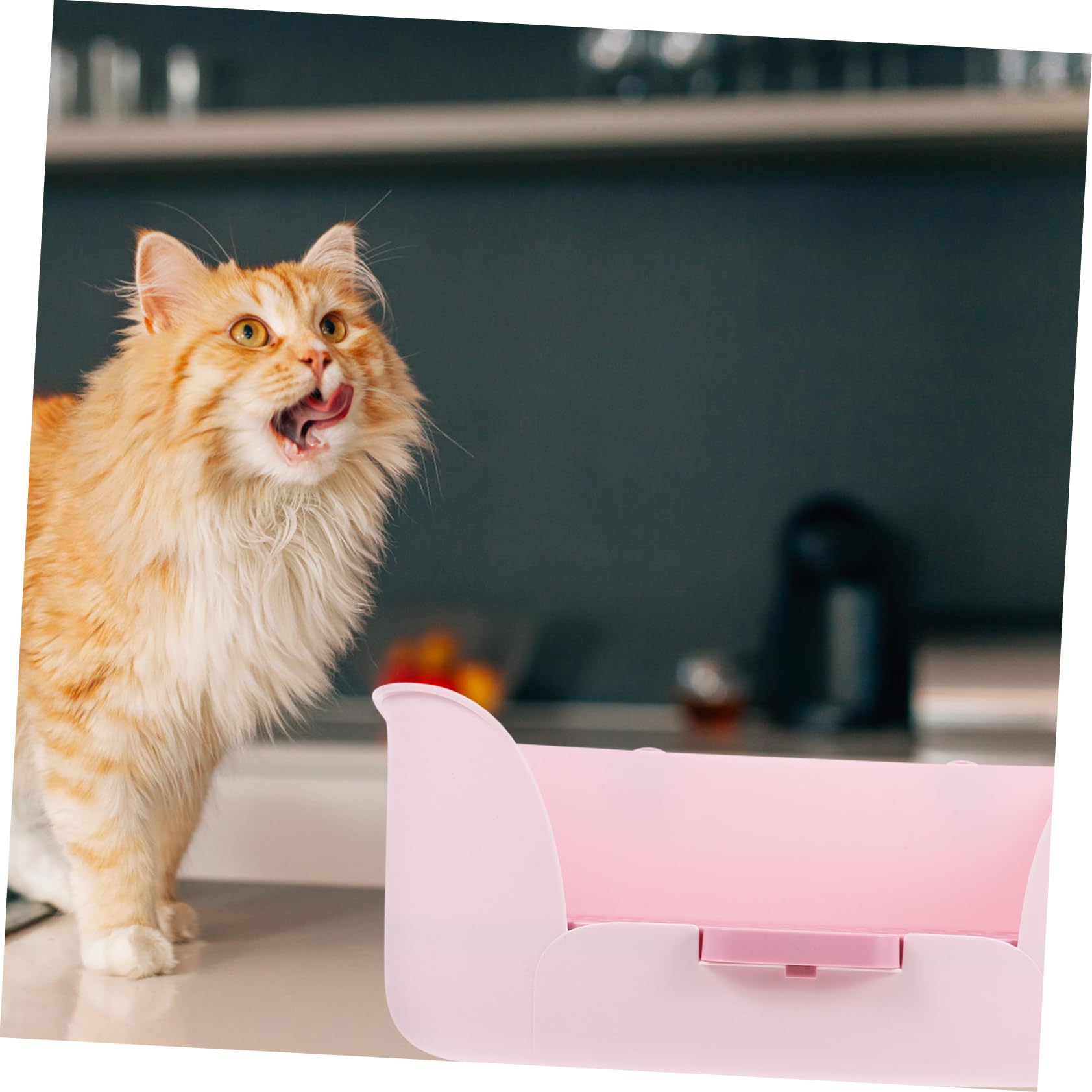 INOOMP Lettiera per Conigli Cavie Addestramento Water Vaschetta per Lettiera per Ratti Toilette per Piccoli Animali Materiale ABS