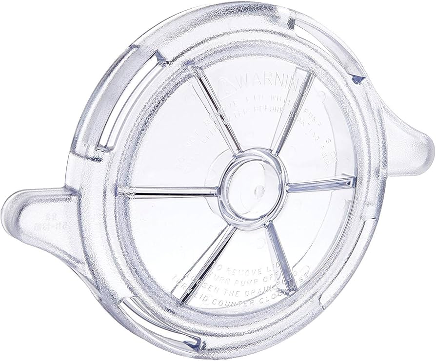 Amazon.com : Waterway Plastics SVL56 Swimming Pool Pump Lid Cover