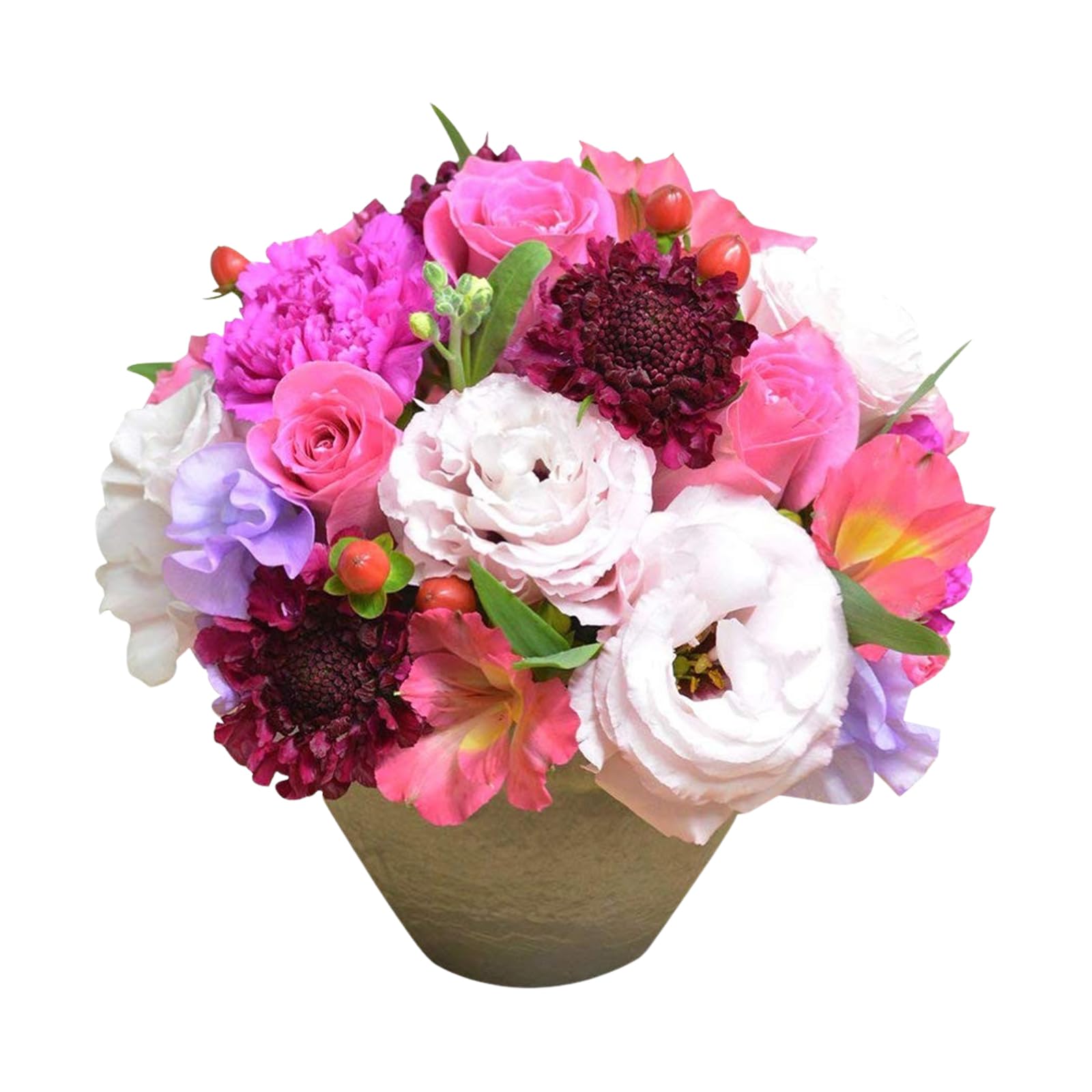 エルフルール ピンク