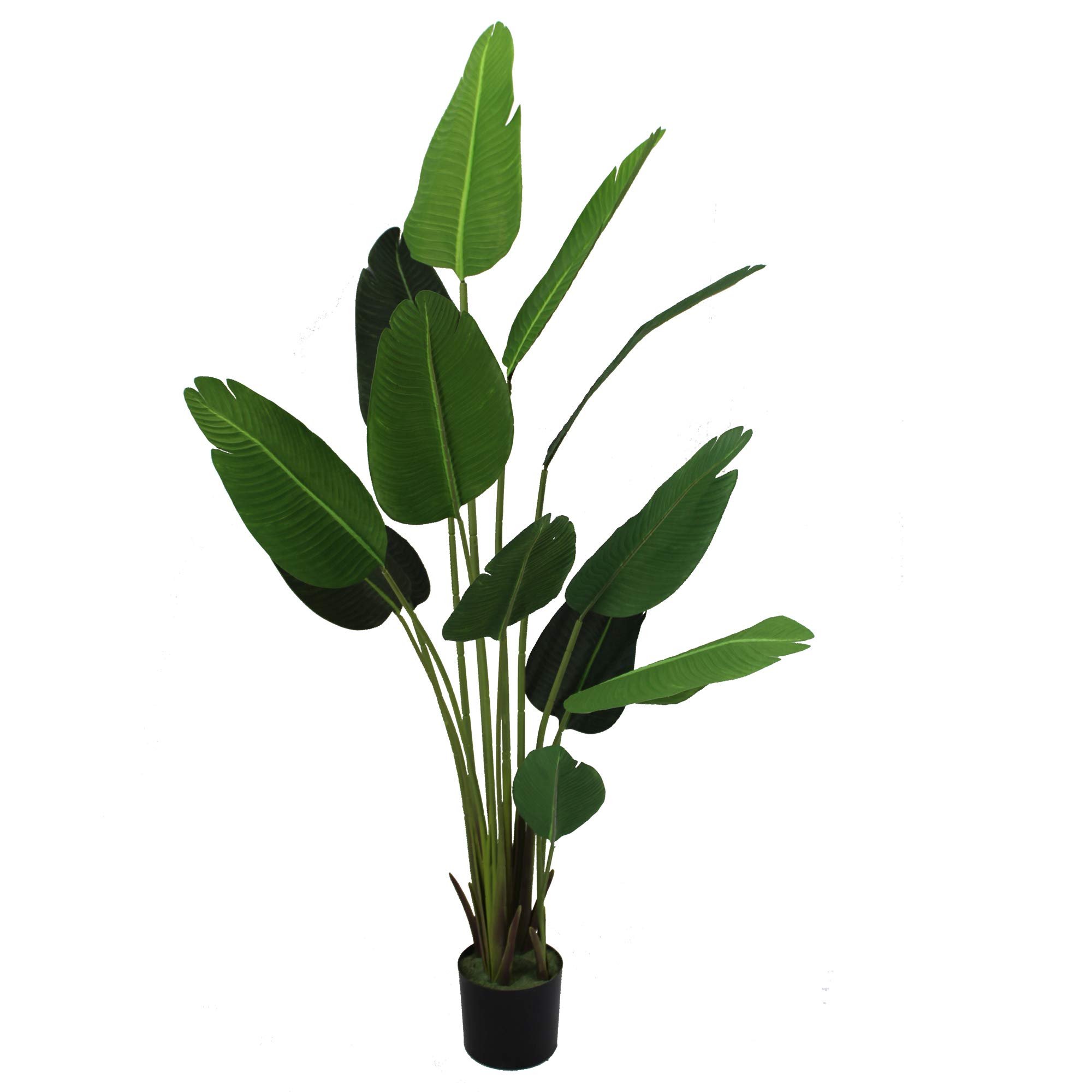 Artificial Silk Bird of Paradise Palm Tree Potted Tree Artificial Travelers Tree, Artificial Silk Plant,Artificial Tree 6-Feet, 4-Feet high, Green (Size:70