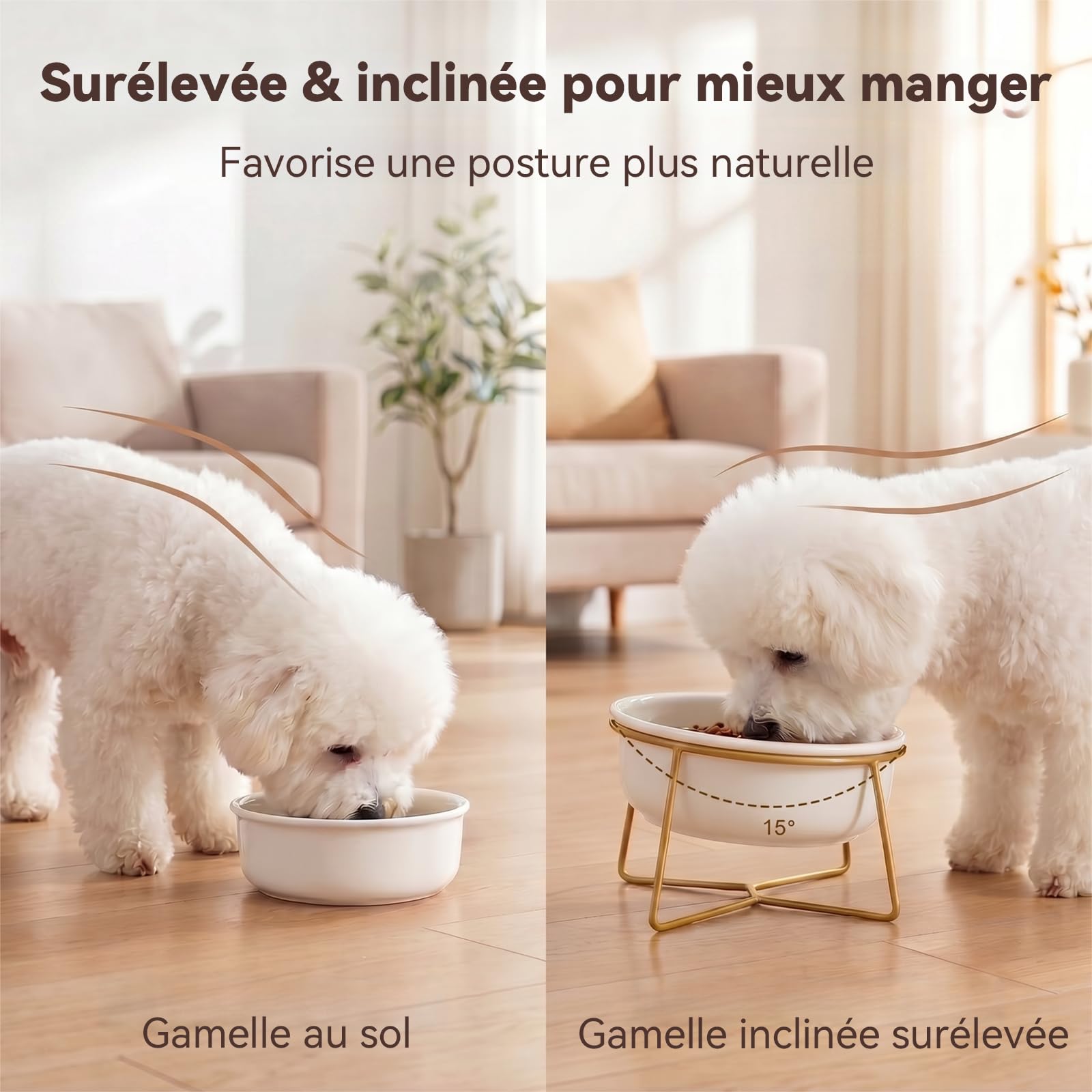 Gamelle Chien Surelevee en Ceramique - Bol pour Chien Surélevée avec Support en Métal - Ecuelle Chat Anti Vomissement - Gamelle Eau Nourriture pour Petits et Moyens Chiens et Grands Chats - 800 ML