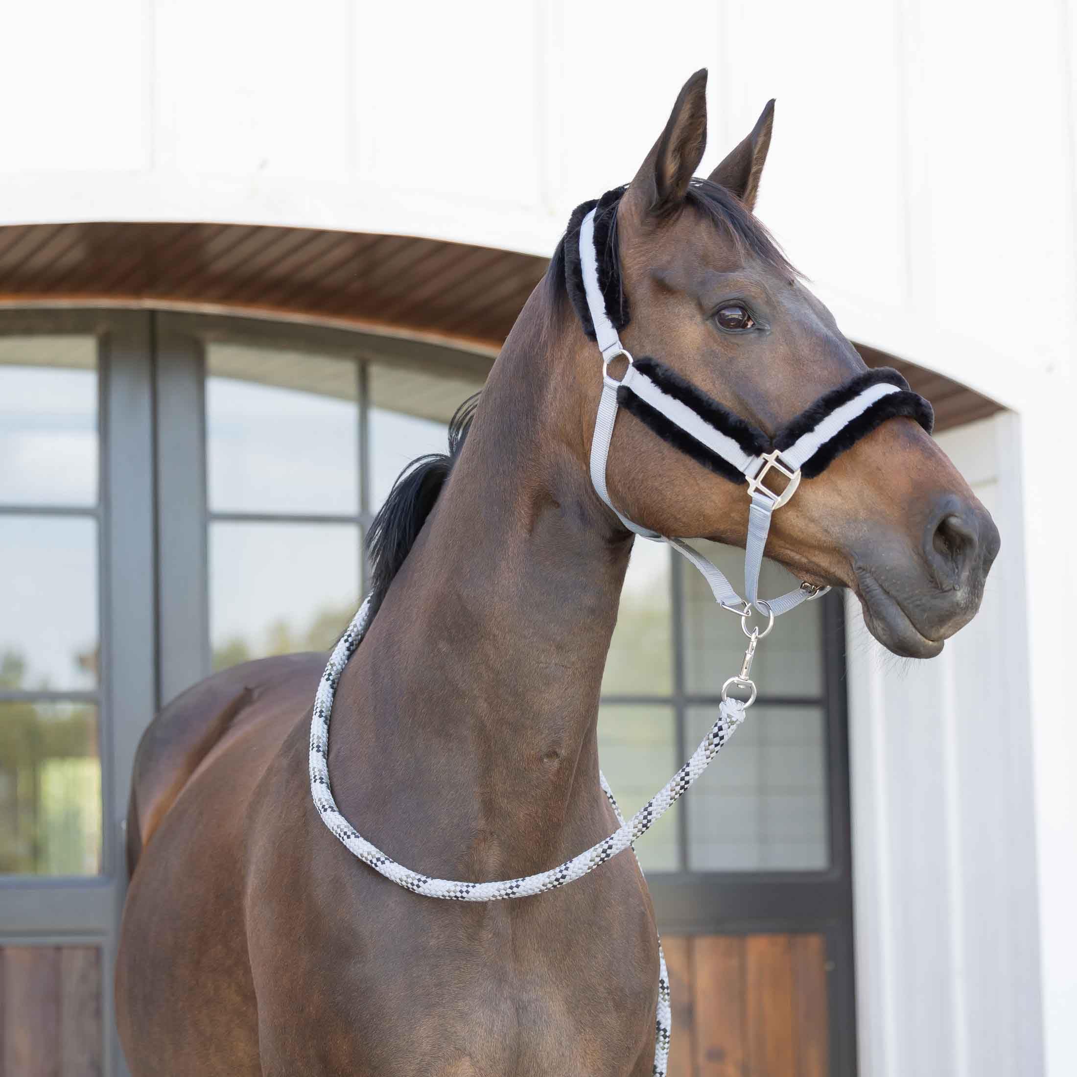 Equinavia Valkyrie - Cavezza per cavalli in pile ultra resistente, regolabile, imbottita, con fettuccia in nylon, grigio ardesia, nero, cavallo