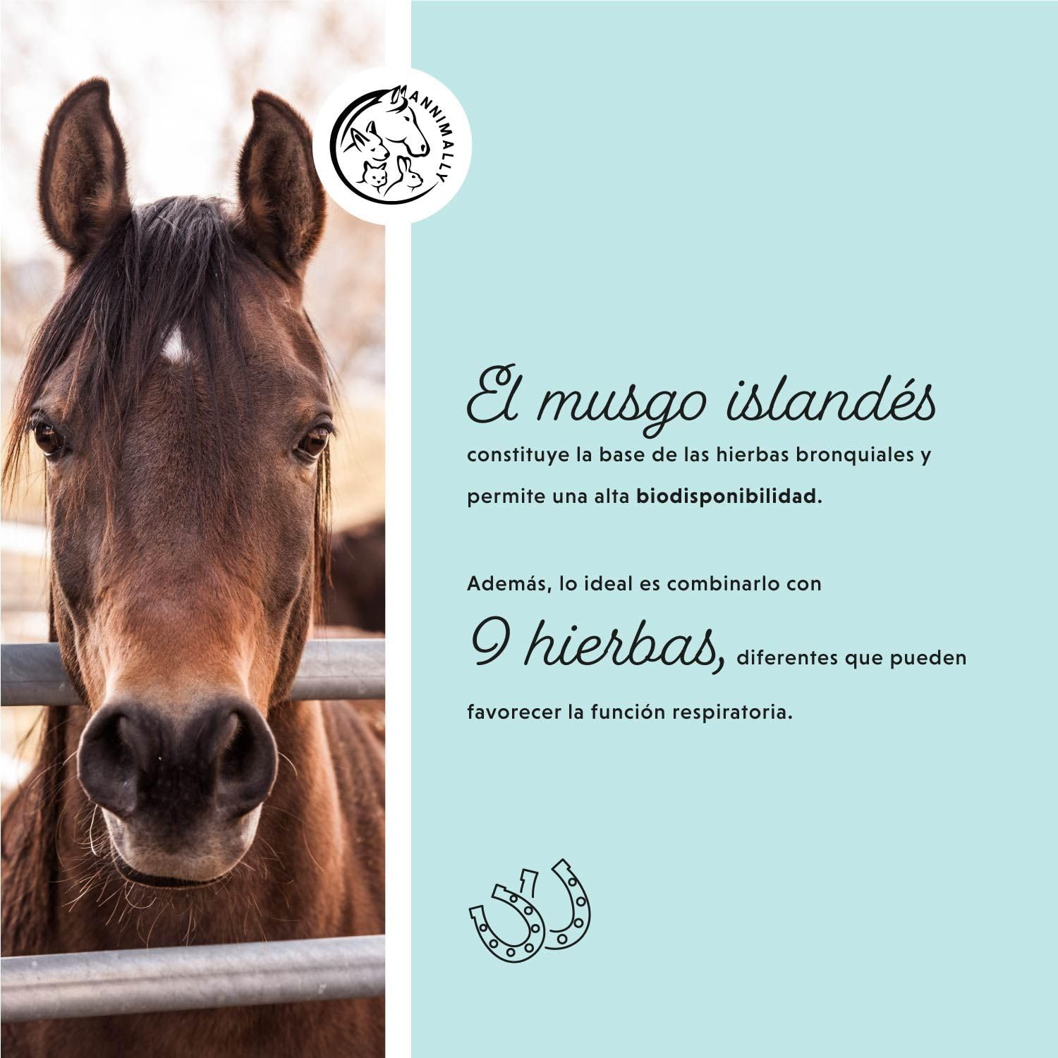 Annimally Jarabe para la Tos para Caballos 1000ml - Jarabe bronquial para Caballos contra la Tos y para calmar Las vías respiratorias - Jarabe para la Garganta - Cosas para Caballos