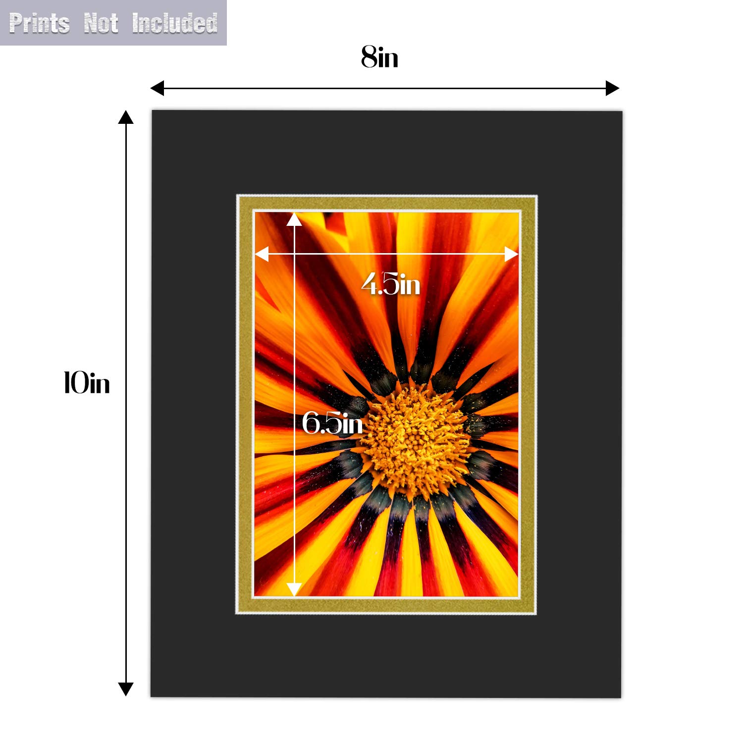 10 Pack 11x14 Picture Mats - Precut For 8x10 Photos, Black With Black Core, Acid Free With Backing Boards