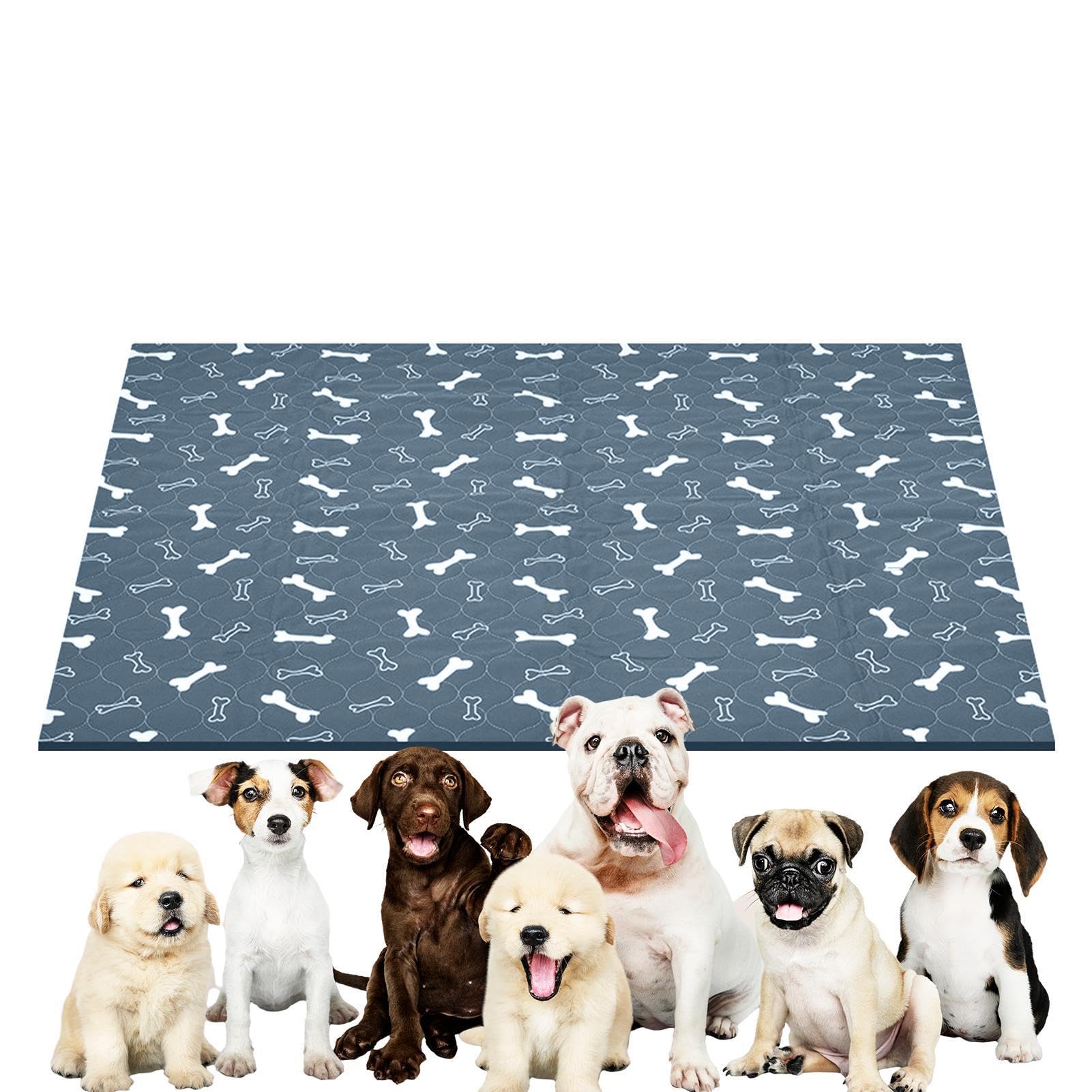 Tapis réutilisable pour chiot pour l'apprentissage de la propreté