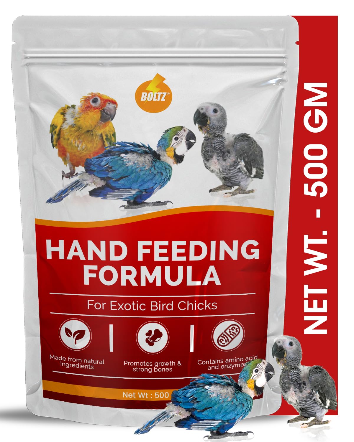 Buy Boltz Natural Hand Feeding Formula for Birds 500 Gm for Exotic Baby Bird Chicks Budgies