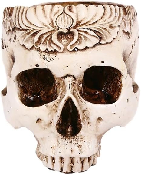 Amazon Queen B ガラ空き ドクロ 小物入れ 卓上 リアル 頭蓋骨 骸骨 ガイコツ おしゃれ かわいい インテリア 白 ホワイト プランター スタンド 鉢 ハロウィン グッズ 飾り 植木鉢 雑貨 模様付き 置物 オブジェ オンライン通販 Amazon Queen B ガラ空き ドクロ 小物入れ 卓上 リアル 頭蓋骨 骸骨 ガイコツ おしゃれ かわいい インテリア 白 ホワイト プランター スタンド 鉢 ハロウィン グッズ 飾り 植木鉢 雑貨 模様付き 置物 オブジェ オンライン通販