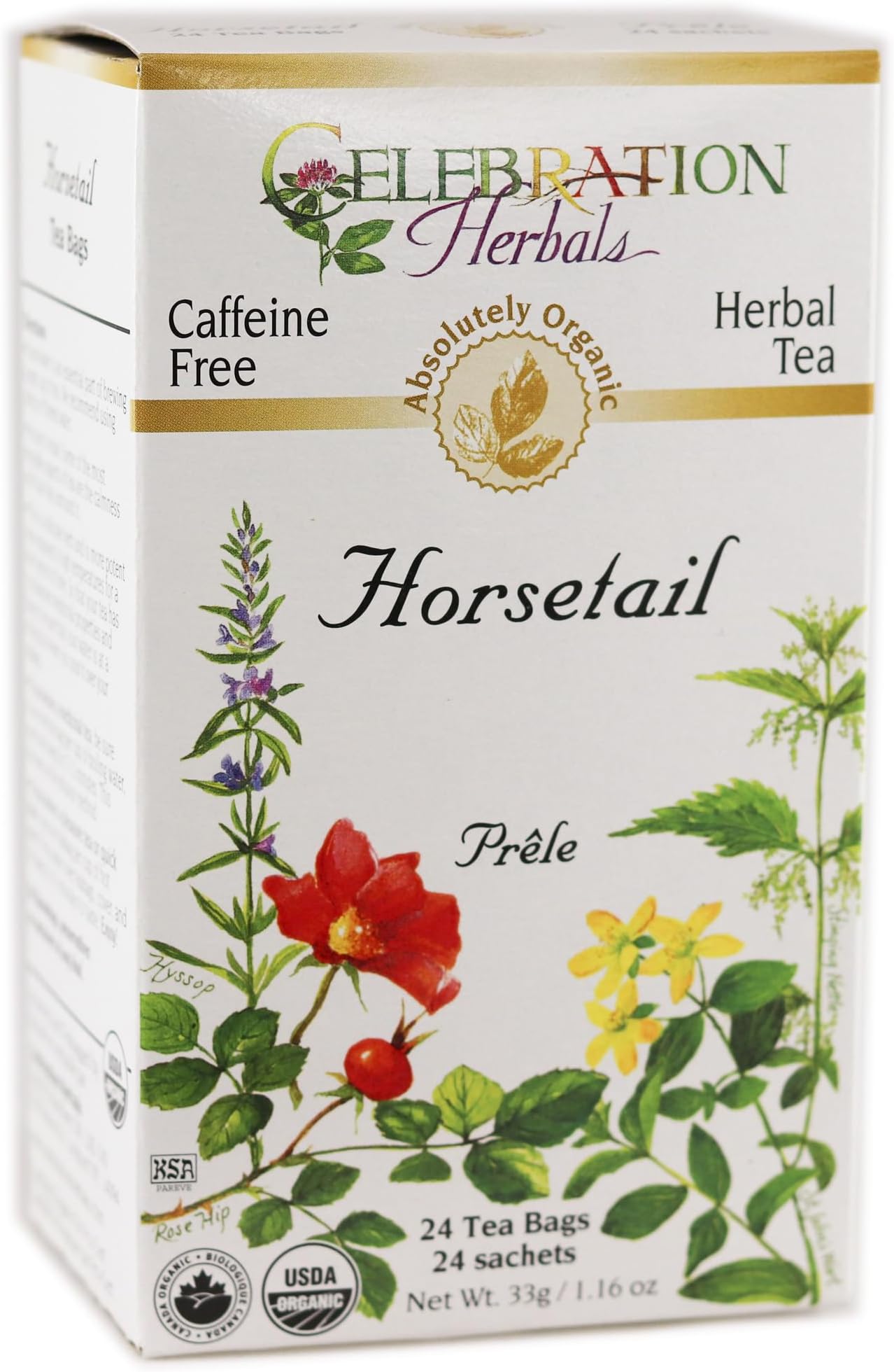 CELEBRATION HERBALS Horsetail Tea Organic 24 Bag, 0.02 Pound