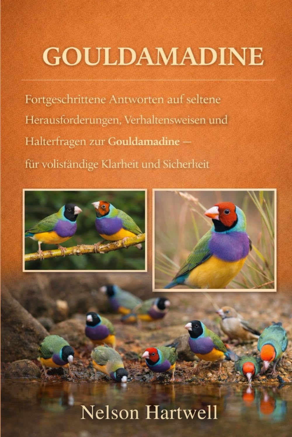 GOULDAMADINE: Fortgeschrittene Antworten auf seltene Herausforderungen, Verhaltensweisen und Halterfragen zur Gouldamadine – für vollständige Klarheit und Sicherheit