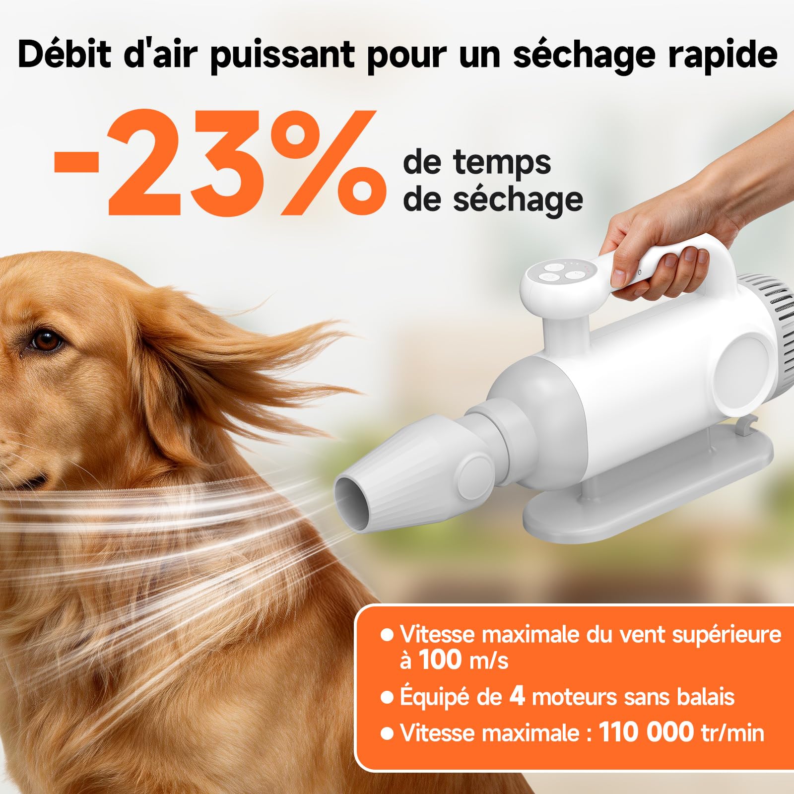 Séchoir chien 2200W, ions négatifs | 4 moteurs, 110 000 tr/min, 3 vitesses/4 températures, 3 buses, anti-surchauffe