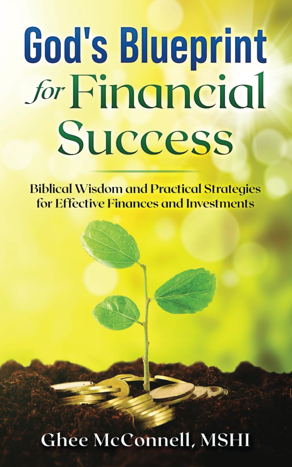 God's Blueprint for Financial Success: Biblical Wisdom and Practical Strategies for Effective Finances and Investments