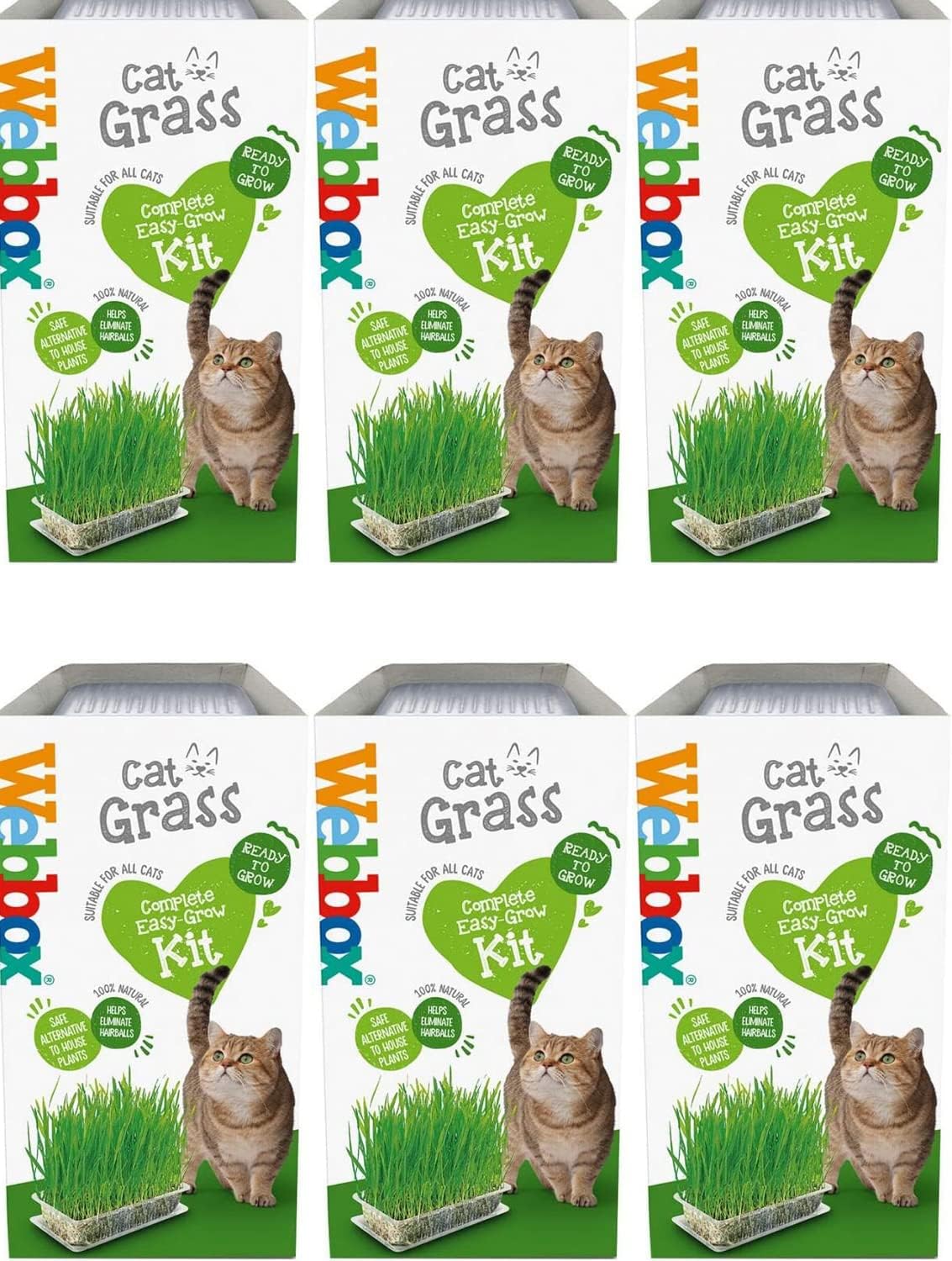 HowseHold Cat Grass Kit for Indoor Cats [6 PACK] box Cat Grass Complete Easy Grow Kit with