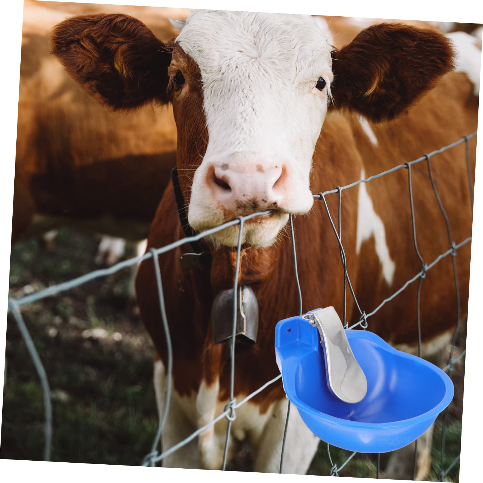 Toddmomy Tazón De Agua Automático Para Ganado Bebedero De Inoxidable Fácil De Limpiar Sin Fugas Para Vacas Caballos y Ovejas