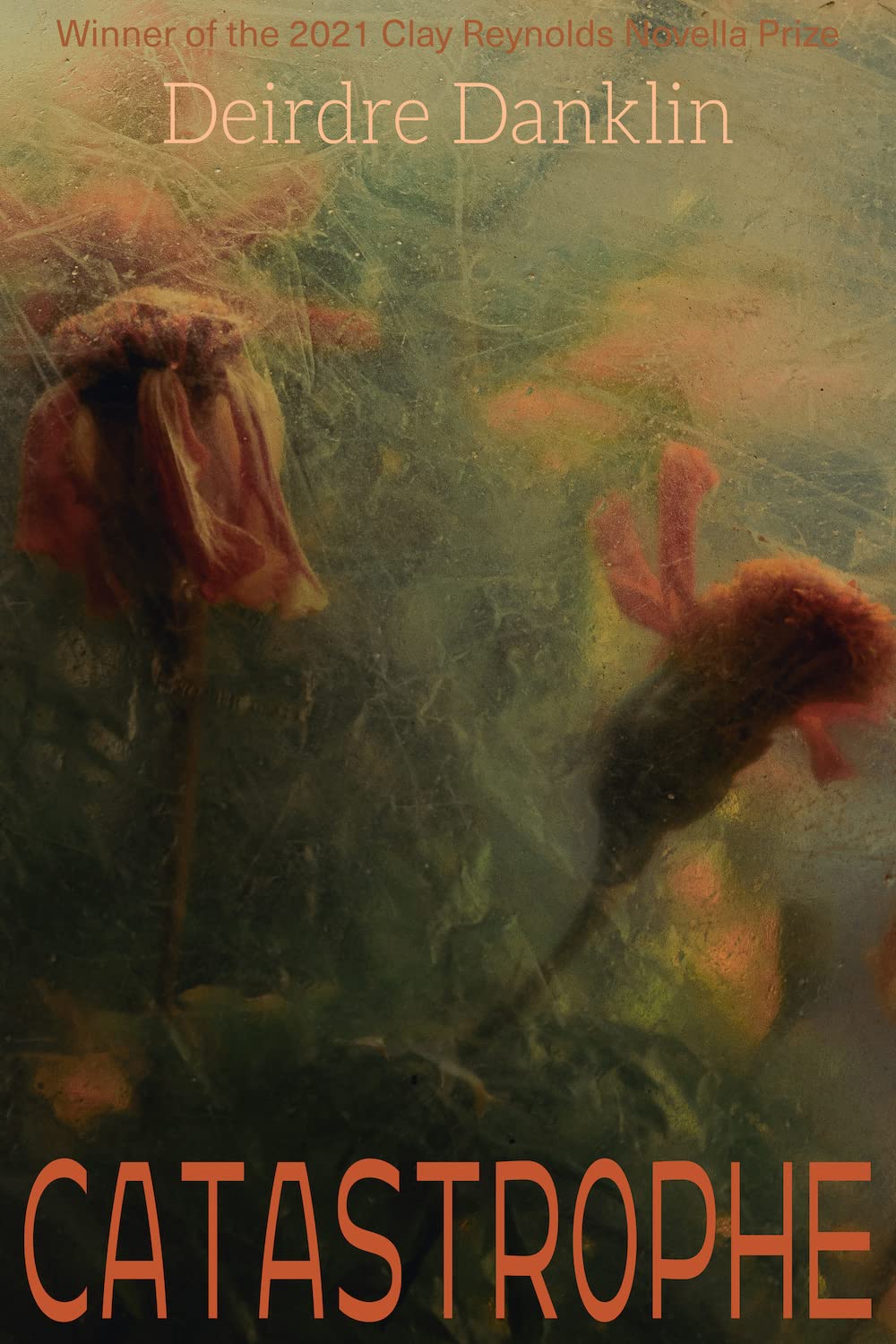 Cover of Catastrophe