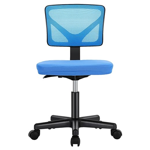 Sweetcrispy Armless Desk Chair