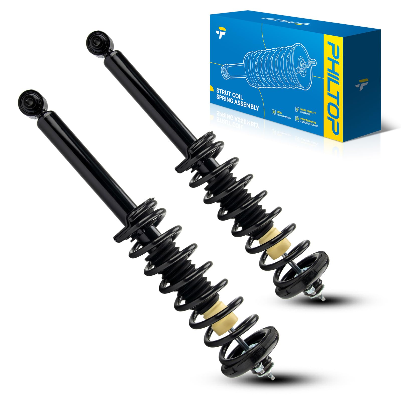 PHILTOP Set of 2 Rear Strut Assembly for 2005-2007 Accord 3.0L/2.4L