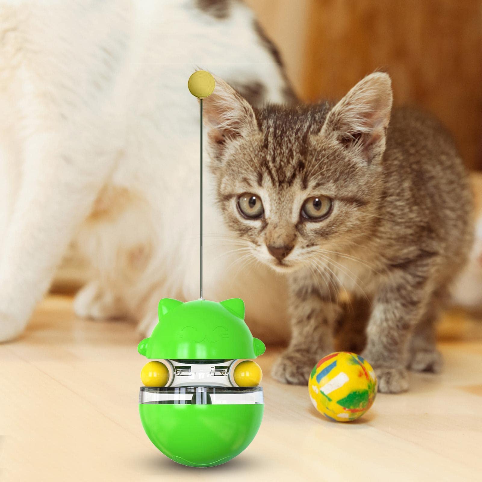 【CBT062】10cm級 おきあがりこぼし(大) スベトラーナ赤いリボンの子猫 Amazon.co.jp: 猫 おもちゃ 猫じゃらし 猫バランススイングカー