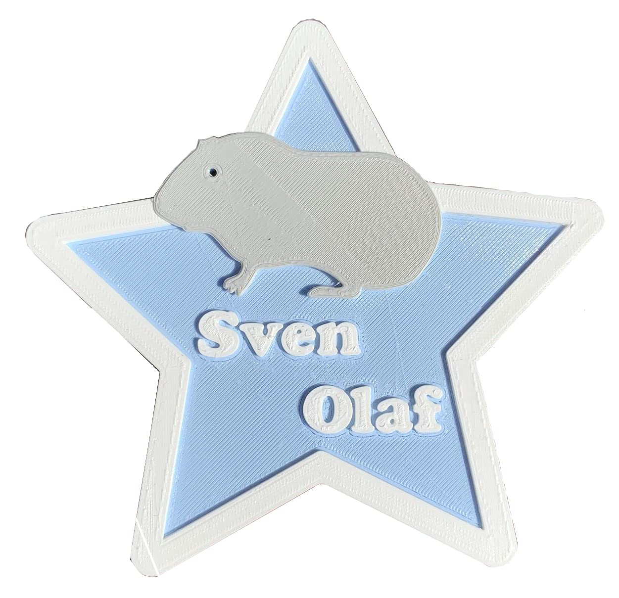 Guinea pig Hutch/Run Sign - Pet - Animal - Door Sign - Playhouse Sign - Plaque