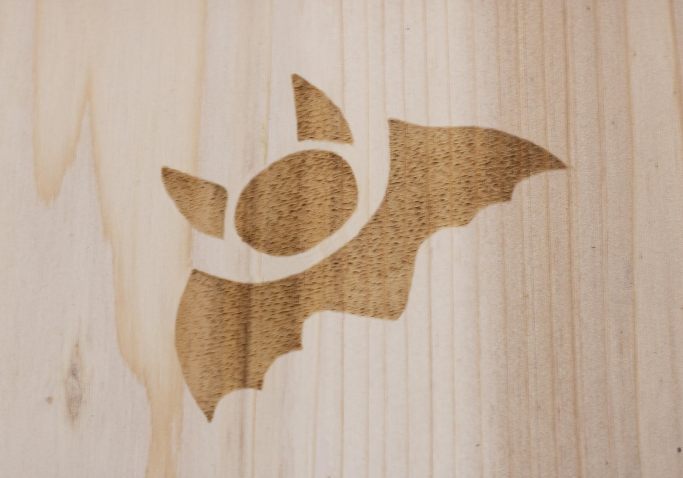 Casa de murciélagos de madera – 28 x 18 cm – Caja para colgar para murciélagos – Caja nido