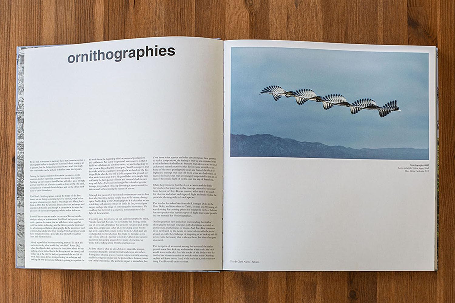 Ornithographies