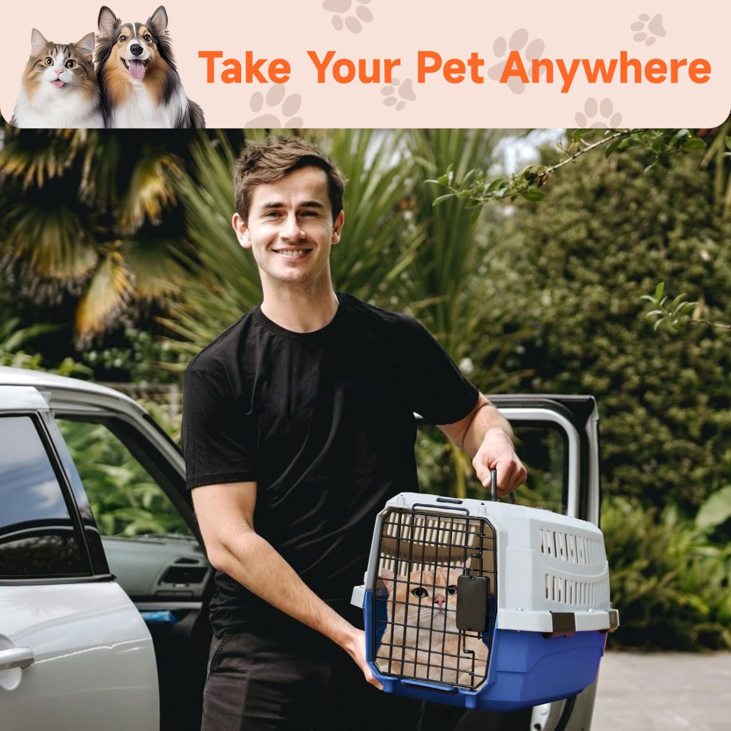 Nobleza Transportín para Gatos y Perros Mediano - Transportín de Plástico Portátil y Transpirable， Certificado para Viajes en Avión， 58x38.7x33 cm， Azul & Gris