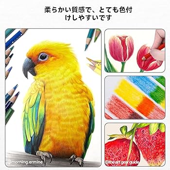 Amazon | Arrtx 色鉛筆 126色、大人の塗り絵色鉛筆、イラスト