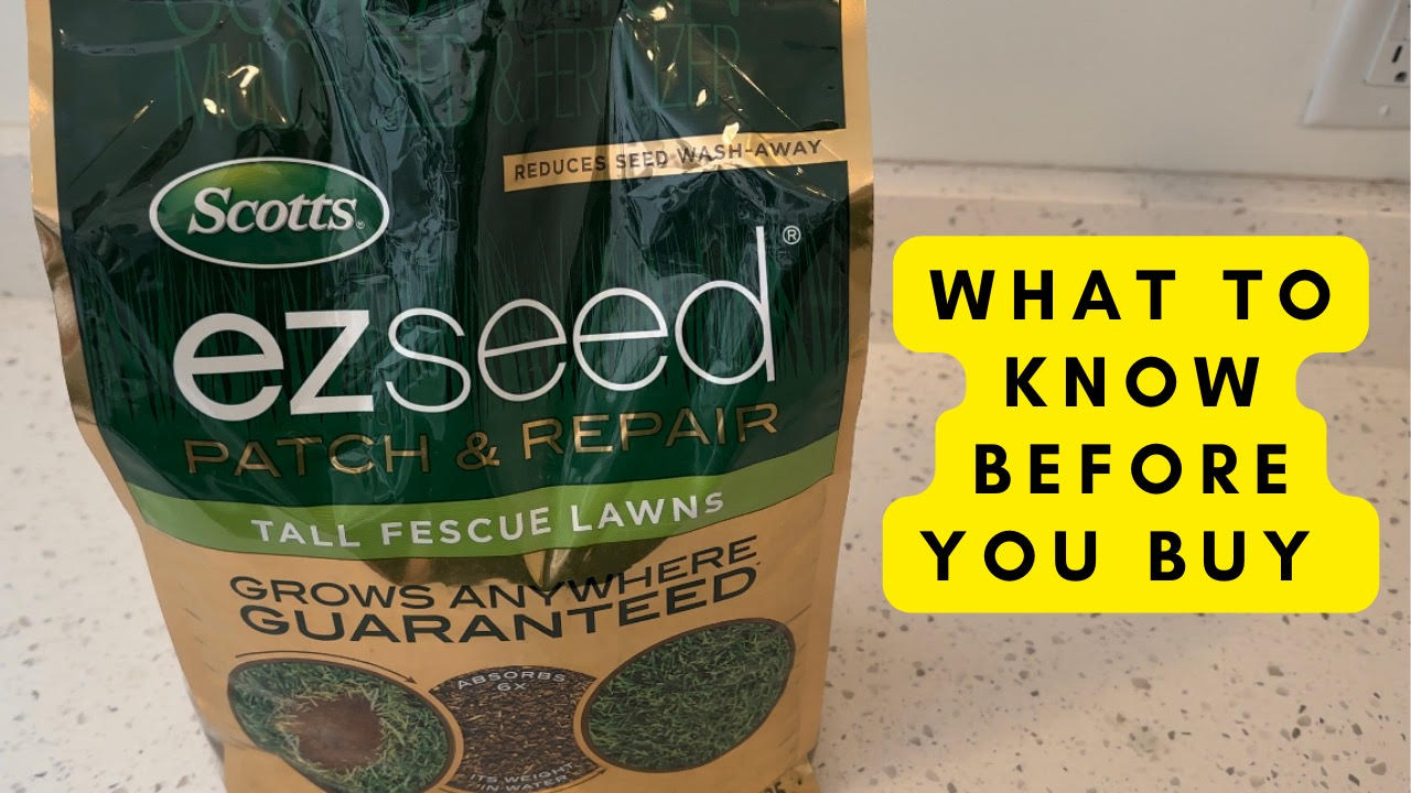 Watch What You Need To Know Scotts EZ Seed Patch & Repair on Amazon Live