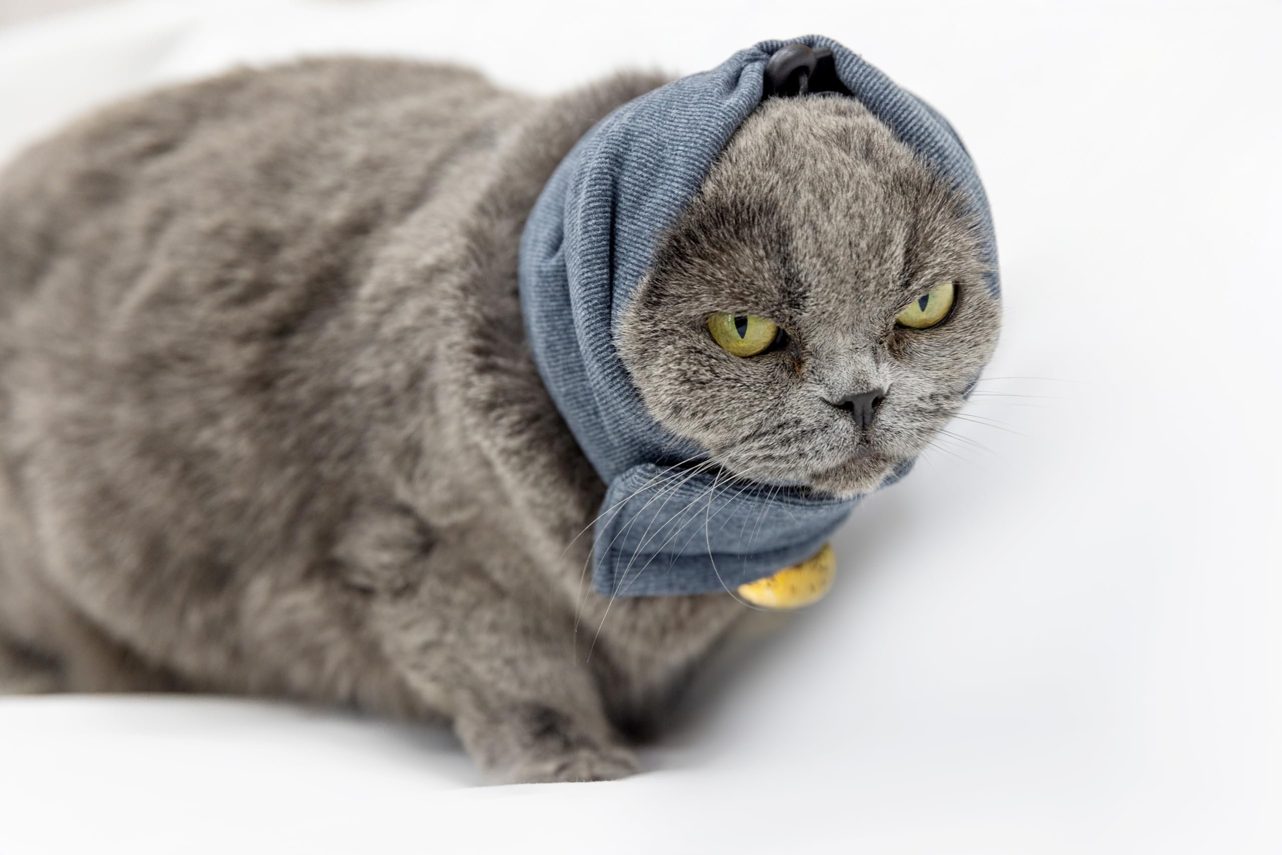 Cat Ear Wrap for Healing &amp; Scratch Stop Grey