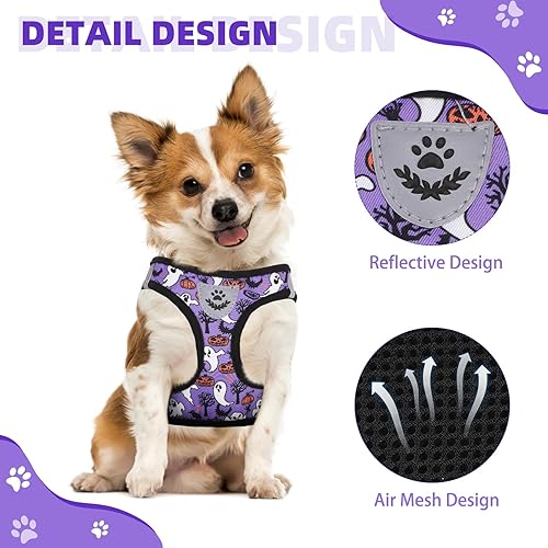 Miniatura 105 de KOOLTAIL Juego de arnés y correa para perros pequeños y medianos, arnés de malla suave sin tirones para perro, cómodo chaleco acolchado