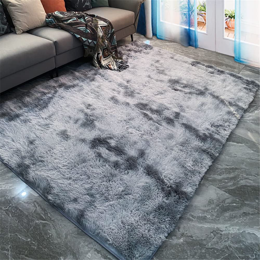 Hiseng Dark Grey Extra Soft Indoor Area Rug, Modern Fluffy Long Carpet Living Room Shaggy Nursery Kids Playing Mat Bedroom Dining Room Floor Mat Home Decor (80X120cm,)