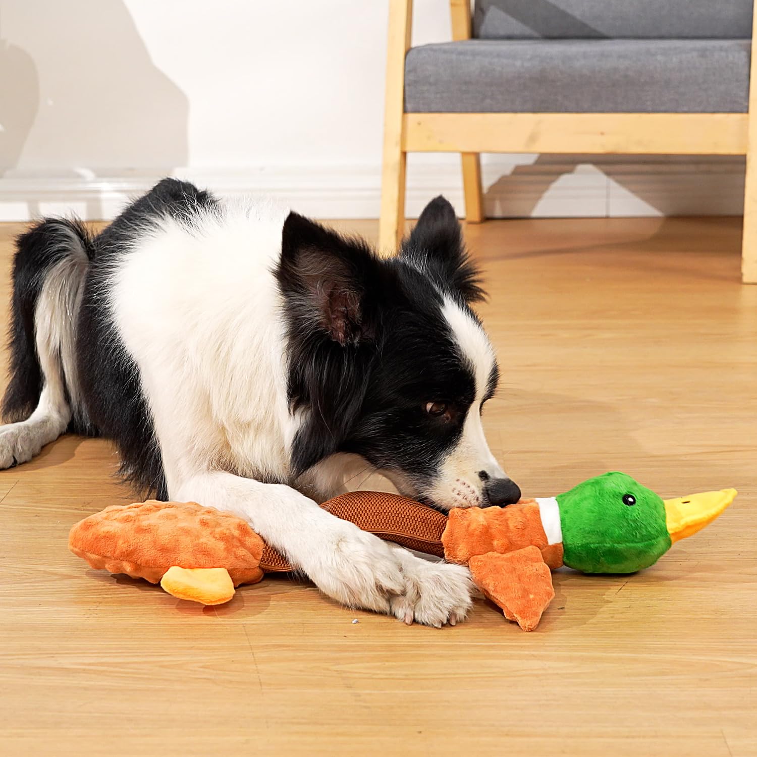 Sedioso Giocattolo per cani extra large, resistente, per cani di taglia grande, 50,8 cm, giocattolo interattivo per cani di taglia piccola, media e grande (anatra)