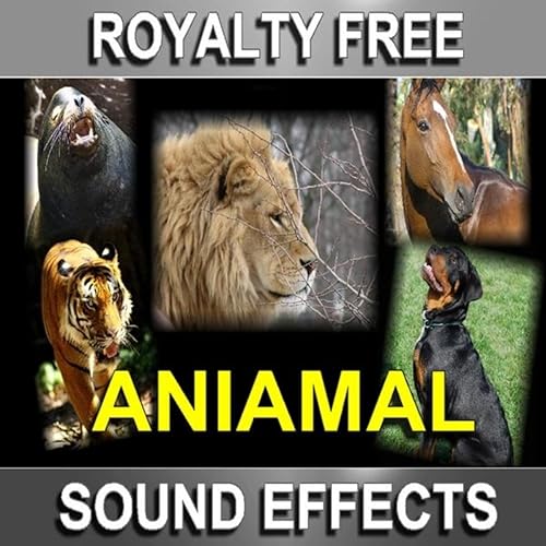 Royalty Free Animal Sound Effects Royalty Free Animal Sound Effects