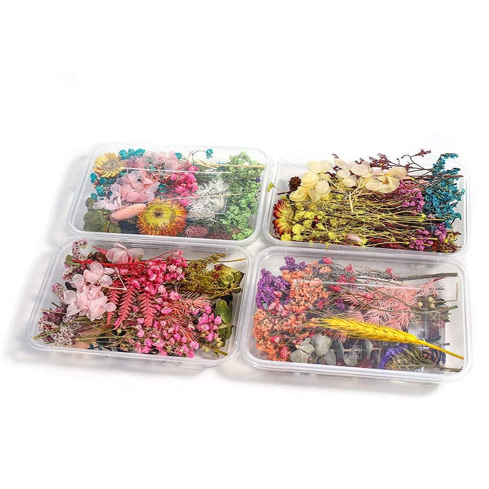 KRAFTMASTERS Natural Real Dried Flowers for Art Craft Mixed Soap, Candle, Scrapbook, DIY, Resin Tray Jewellery, Pendant- [Random Box, Multicolour] (1 Box)