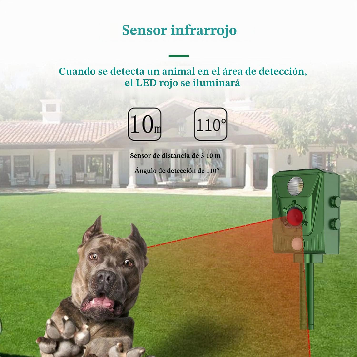 Repelente para Gatos, Ahuyentador para Gatos Ultrasonido Repelente para Palomas, Pájaros, Perros, Ratones, Zorros, IP44 Impermeable