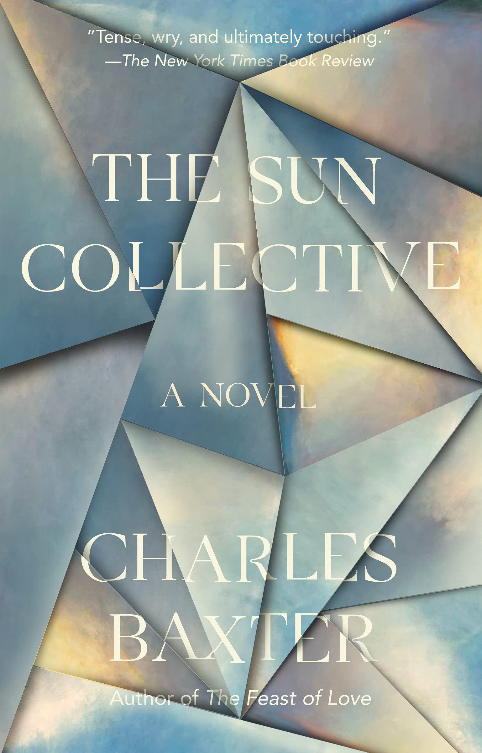 The Sun Collective: A Novel (Vintage Contemporaries)