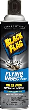 Black Flag Flying Insect Killer Aerosol Spray, 18-Ounce