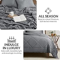 Vista 13 de Coldest Cozy Comforter Lightweight Cooling, 100% Viscose Derived from Bamboo, Down Alternative Duvet Insert, All Season Soft Comforter for Hot