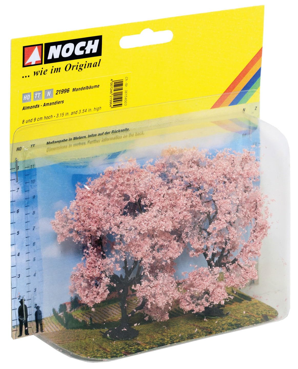 Noch 21996 Almonds Landscape Modelling - Image 2